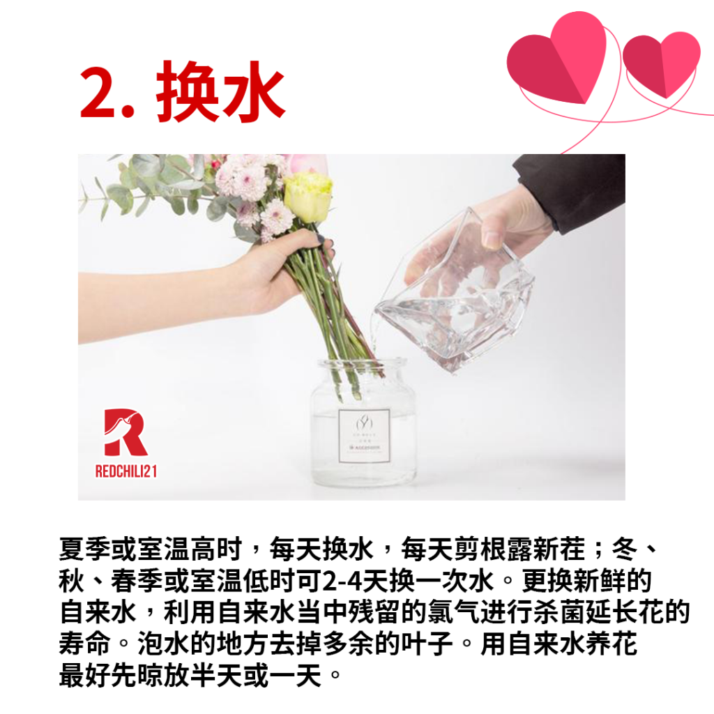 情人节花束这样处理可以让鲜花保存得更久 Redchili21 情人节花束这样处理可以让鲜花保存得更久 Redchili21